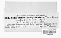 Sclerotium complanatum image